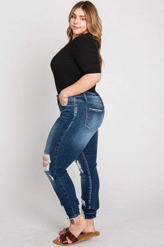 Petra High Rise Plus Size Skinny Jeans