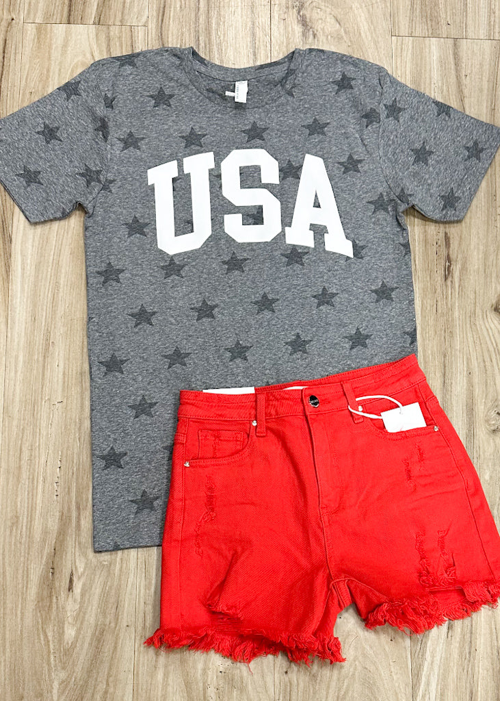 USA Grey Star Tee