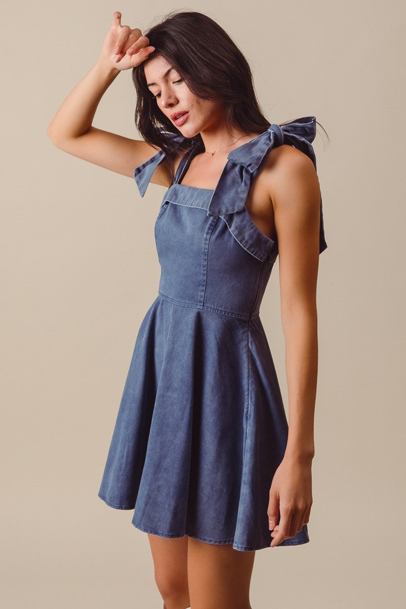 Fit and Flare Mini Dress